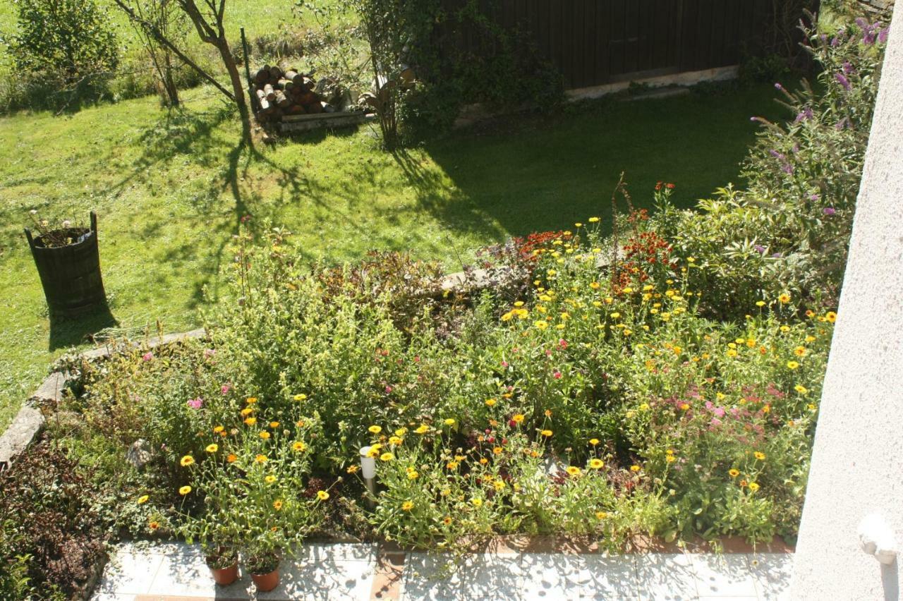 Landlust Ischl Bed & Breakfast บาดอิสชิล ภายนอก รูปภาพ