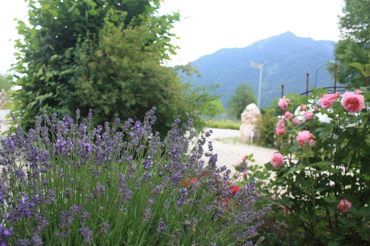 Landlust Ischl Bed & Breakfast บาดอิสชิล ภายนอก รูปภาพ