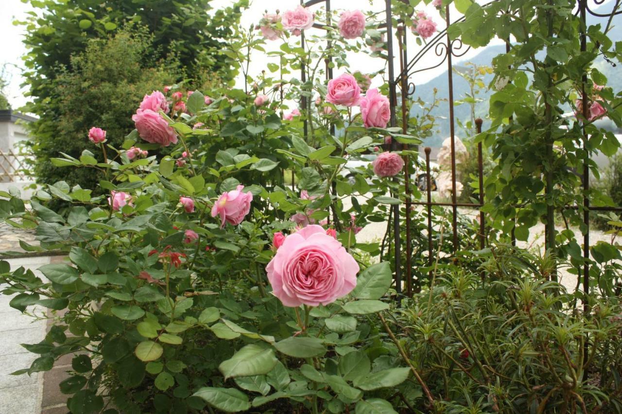 Landlust Ischl Bed & Breakfast บาดอิสชิล ภายนอก รูปภาพ